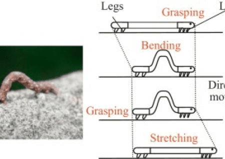 ‘Inchworm’ koncept ali kako izboljšati svojo igro